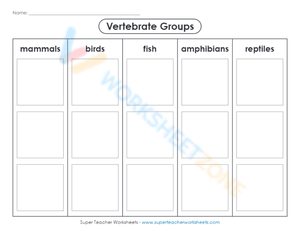 animal classification 1