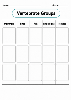 Grade 3 Vertebrate Groups — Printable No-Prep Worksheet