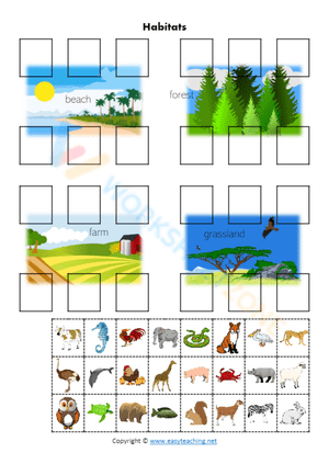 Explore Animal Habitats with this Worksheet