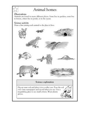 Printable Animal Homes Worksheet | Grade 2 Science