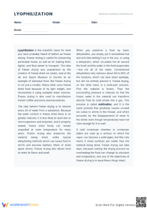 Grade 7 Informational Text — Printable No-Prep Worksheet