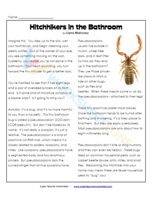 reading worksheets for 5th graders 1