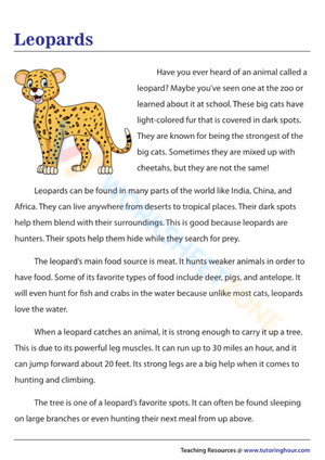 reading comprehension worksheets 4th grade 6