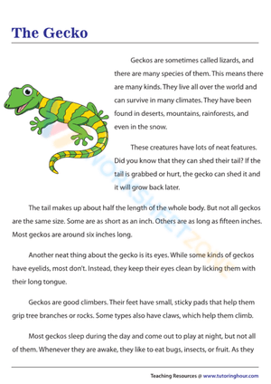 3rd grade reading 14