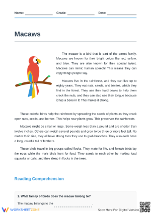 Macaws Reading Comprehension | Essential Grade 3 ELA