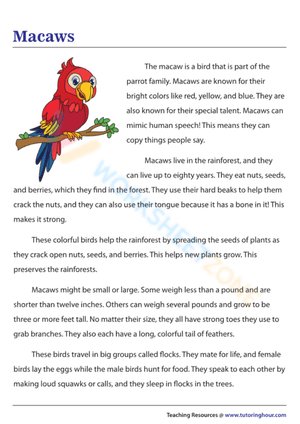 3rd grade reading 13