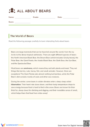 Bears Reading Comprehension | Grade 3 Printable Worksheet
