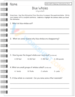 informational text 9