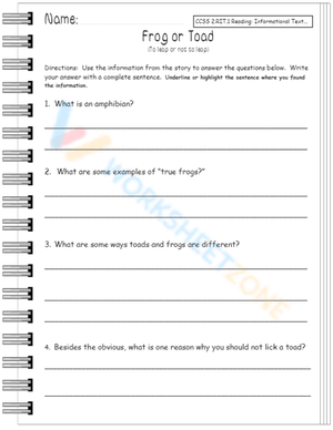 informational text 7