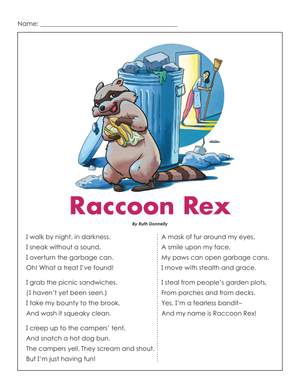 Grade 3 Poetry Comprehension — Printable Worksheet