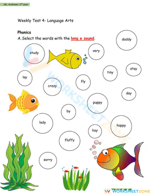 Fish correct-incorrect