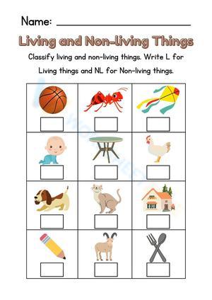 Colorful Illustrative Living and Non-living Things Worksheet