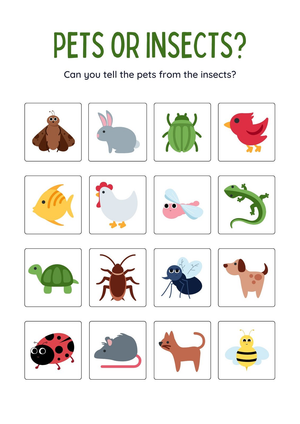 Pets or Insects Sorting Worksheet | Grade K Essential