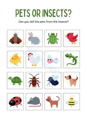 Pets or Insects Sorting Worksheet