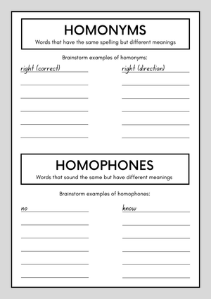 Homonym and Homophone Worksheet | Grade 4 Printable