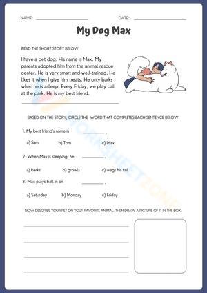 English Reading Comprehension Activity Worksheet