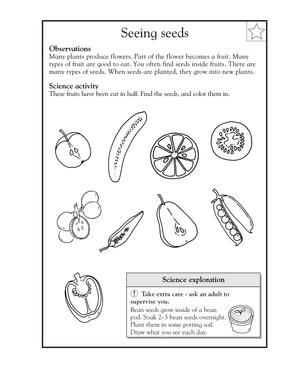 Science Worksheet for 2nd Graders