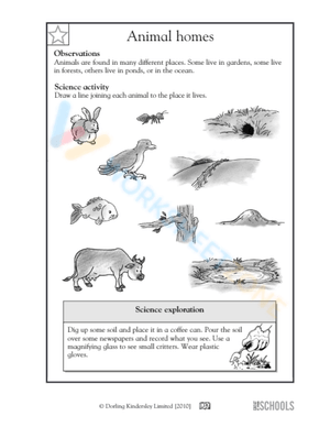 Science for 2nd Graders: Worksheet
