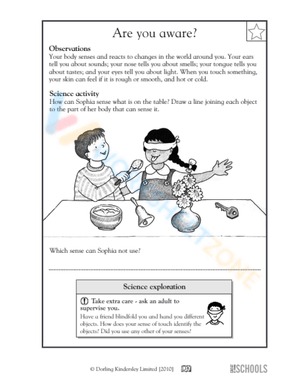 Science Worksheet for 2nd Grade Students