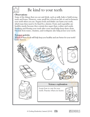 Science for 2nd Graders: Practice Worksheet