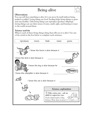 Interactive Science Worksheet for Grade 2