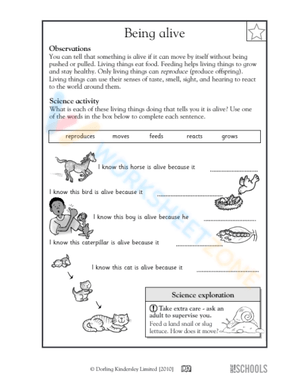 Interactive Science Worksheet for Grade 2