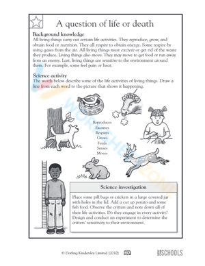 Science Worksheet for 3rd Graders