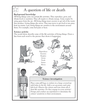 Science Worksheet for 3rd Graders