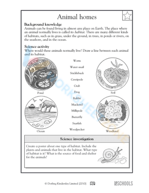Science Fun Worksheet for 3rd Graders