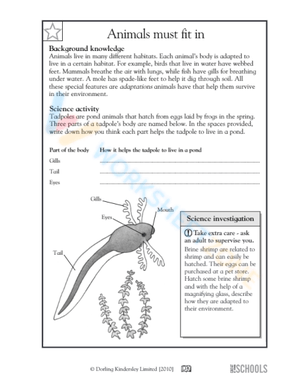 Educational Science Worksheet for 3rd Grade