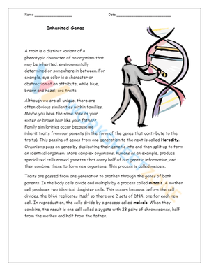 Science Skill-Building Worksheet for 4th