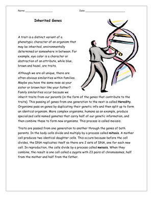 Science Skill-Building Worksheet for 4th
