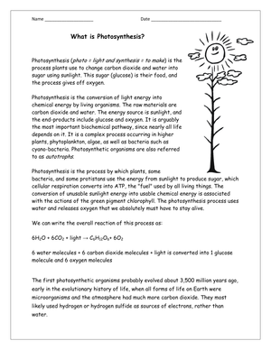 Science Learning Worksheet for 4th Grade