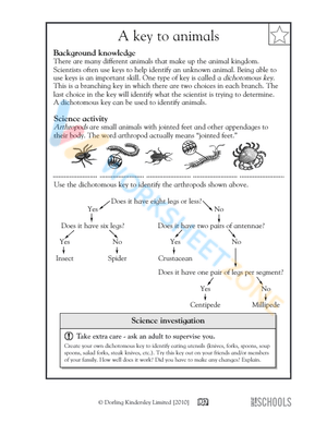 5th Grade Science Fun Activities