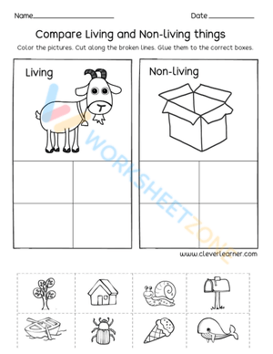 living and non living things 1
