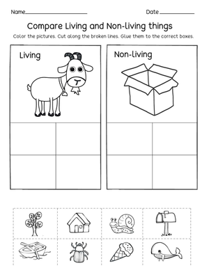 Living and Non-Living Things Printable Worksheet | Grade 2