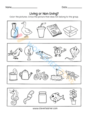 living and non living things 2