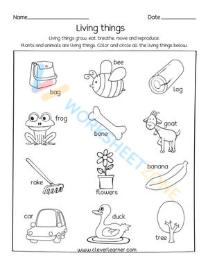 living and non living things 3