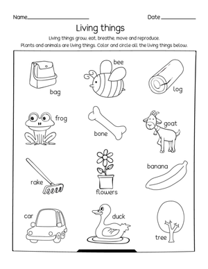 Living and Nonliving Things Worksheet | Grade 3 Essential