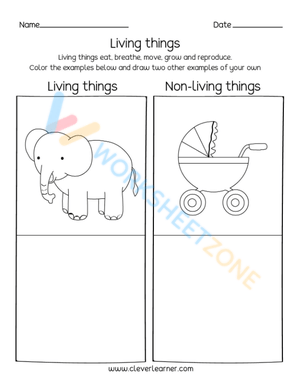 living and non living things 5