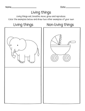Living and Non-Living Things — Printable Grade 2 Science