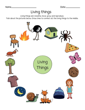 Identifying Living and Non-Living Things