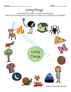 Identifying Living and Non-Living Things