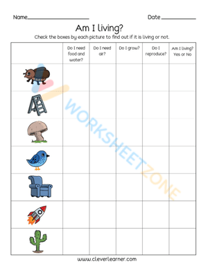 Understanding Living and Non-Living Things