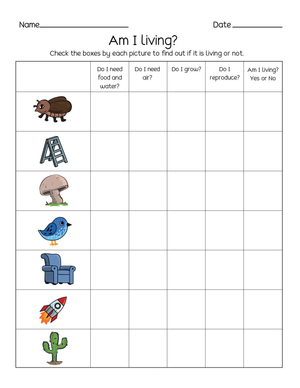 Understanding Living and Non-Living Things