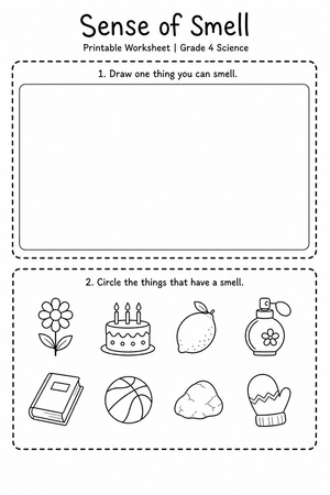 Grade 4 Sense of Smell — Printable No-Prep Worksheet