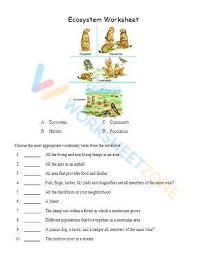 Learn About the Ecosystem