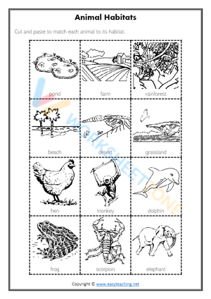 animal habitats 1