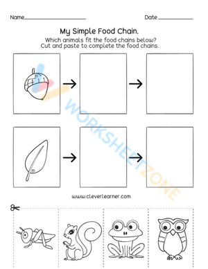 Introduction to Food Webs and Food Chains