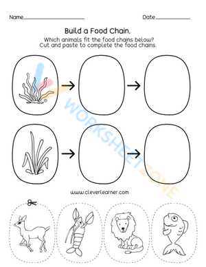Investigating Food Webs and Food Chains